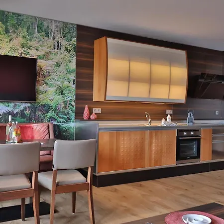 Citysuite Winterberg Ferienwohnung 4 Pers Direkt In Der City 公寓 *